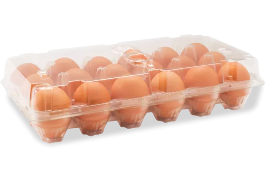 Boîte à œufs transparente